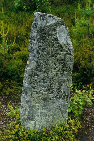 2002060206 runestein fyresdal